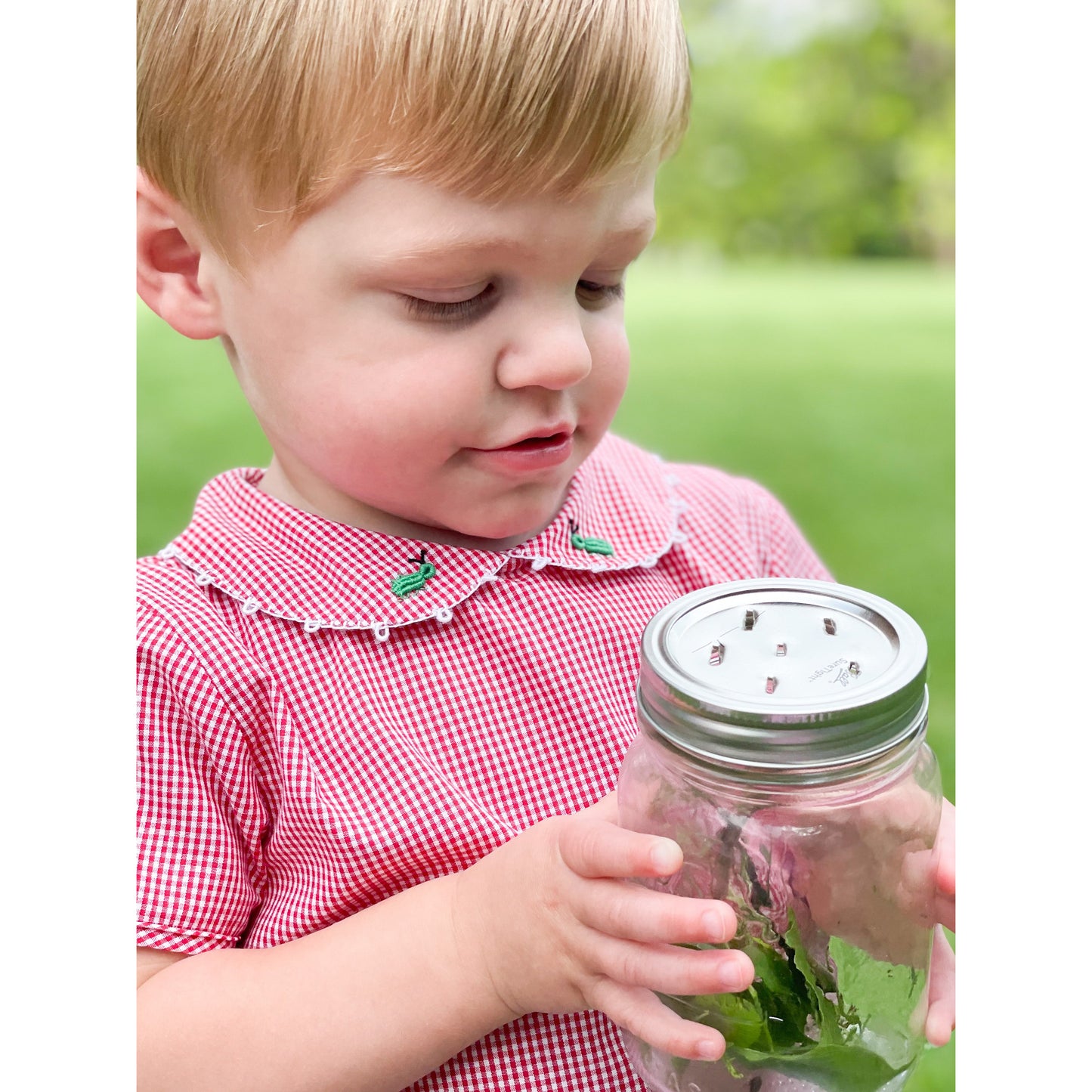 Smocked Grasshopper Bloomer Set