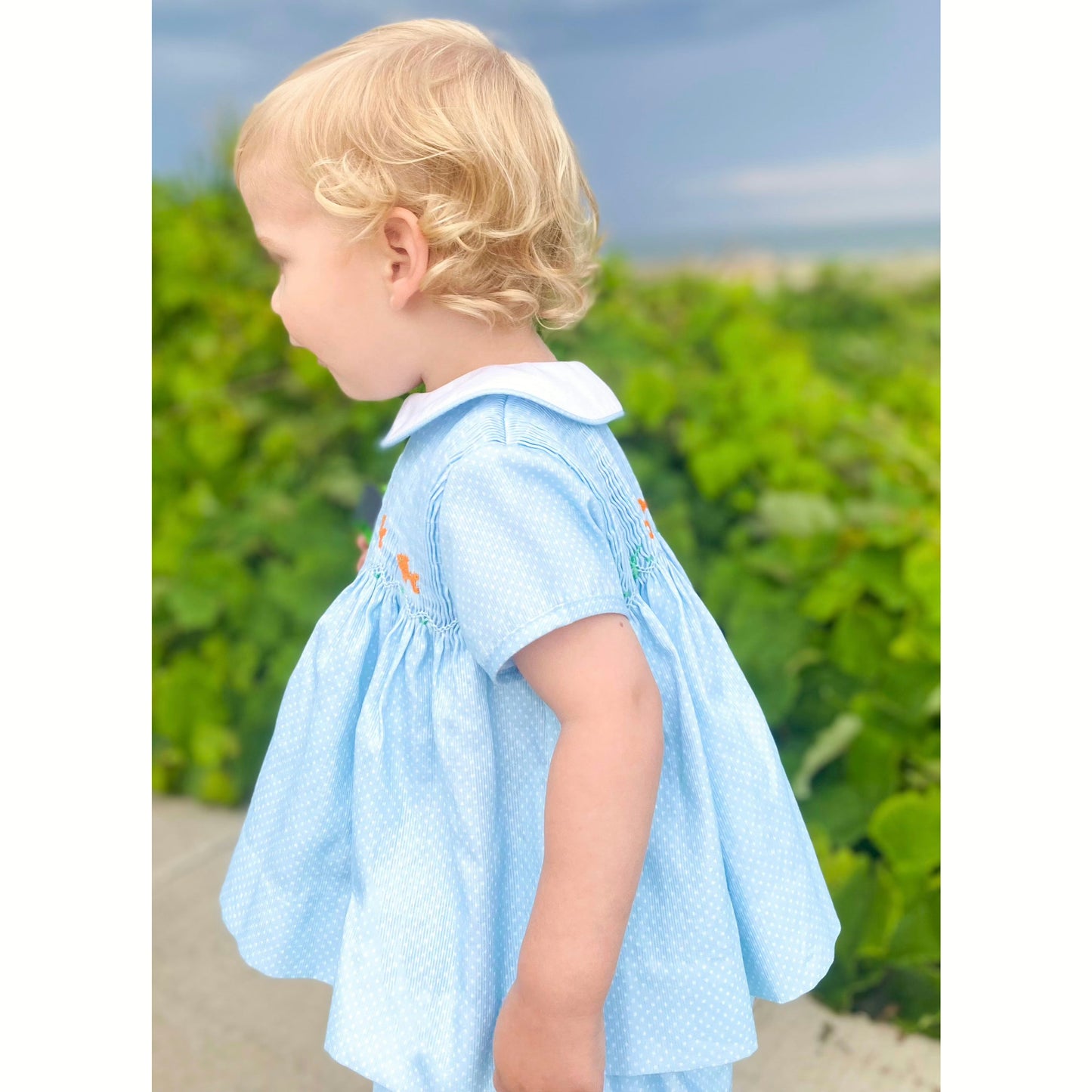 Boys Smocked Goldfish Set