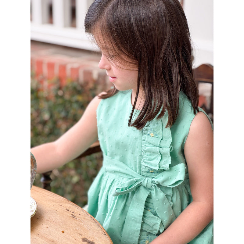 Embroidered Plumetti Dress Pre-Order