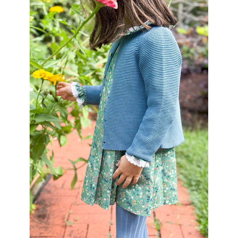 French Blue Cardigan