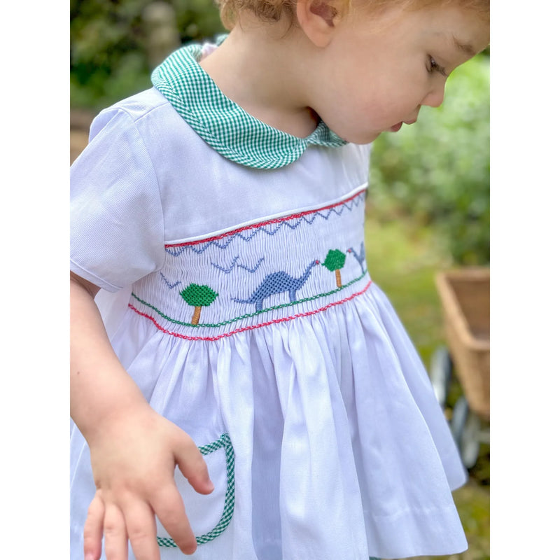 Dinosaur Set