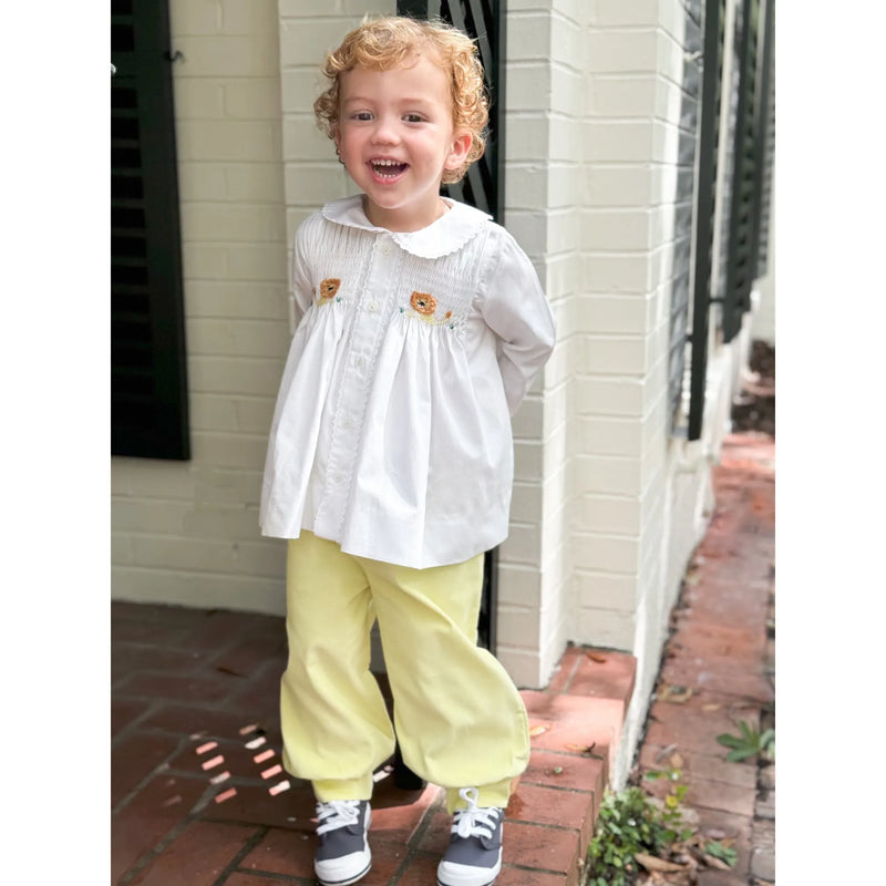 Lion Set