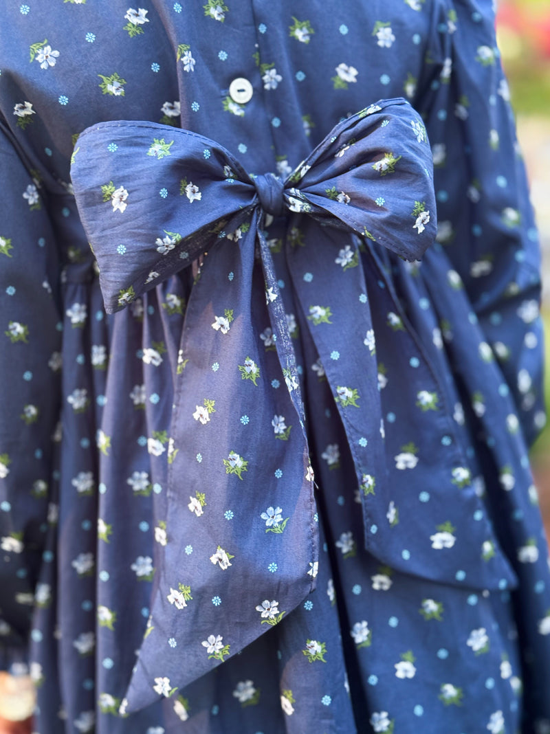 Eloise Dress