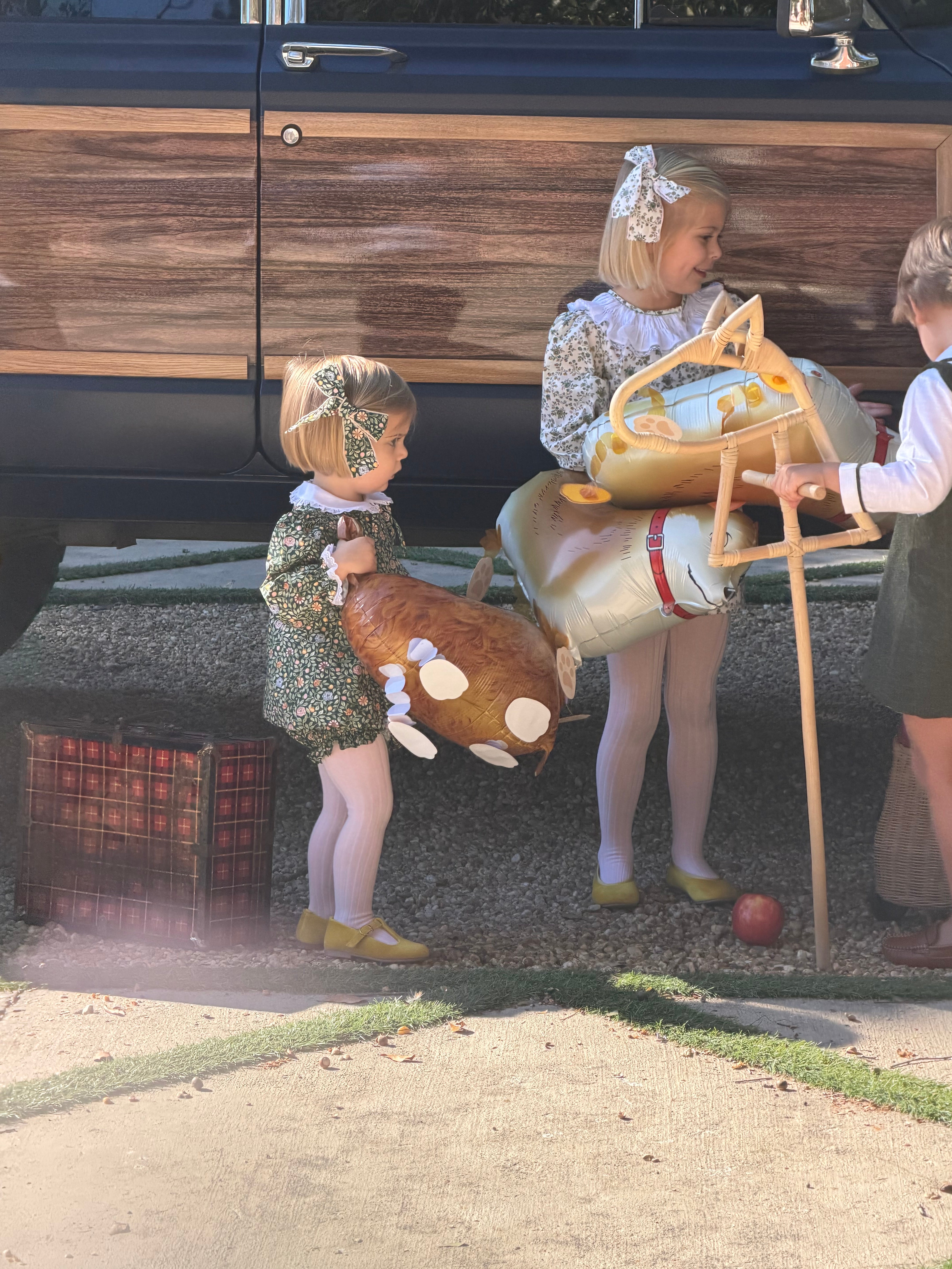 Slide image