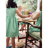 Embroidered Plumetti Dress