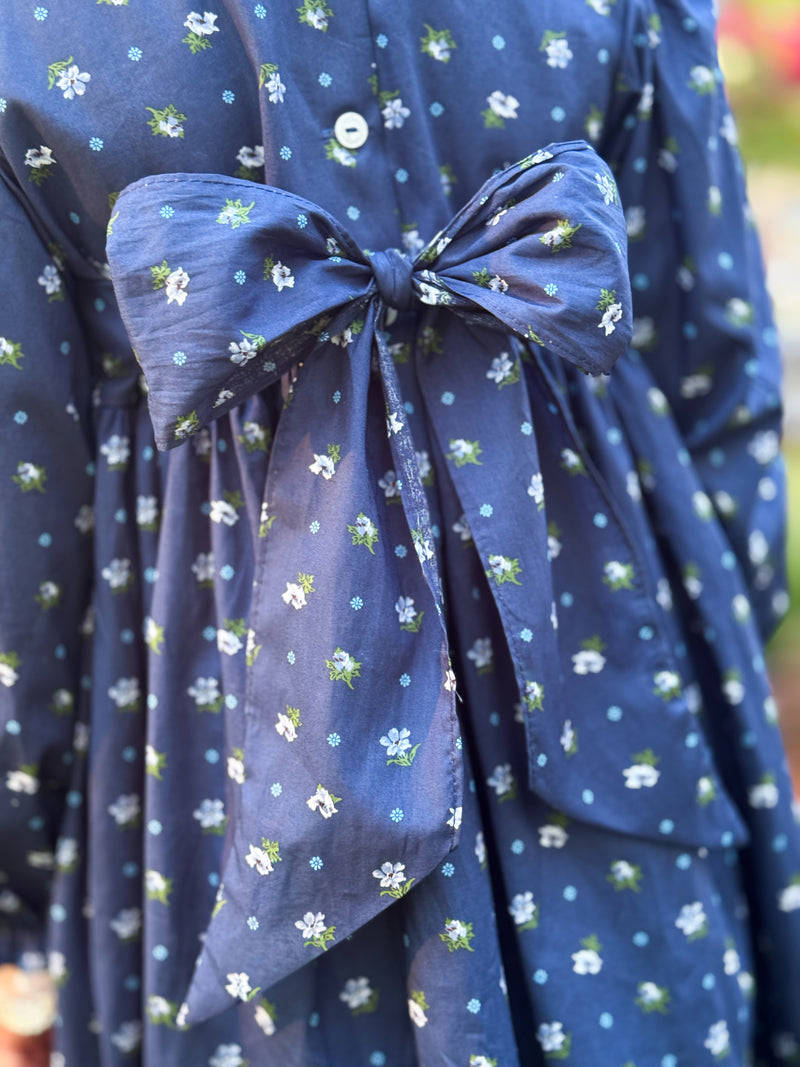 Eloise Dress