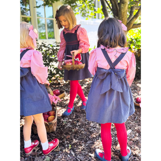 Pocket full of Ladybugs Pinafore