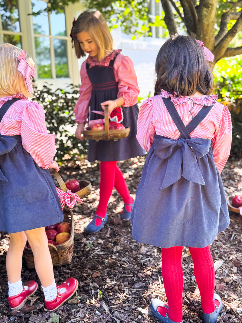 Pocket full of Ladybugs Pinafore