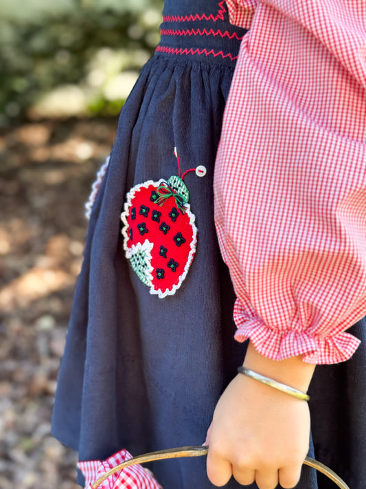 Pocket full of Ladybugs Pinafore