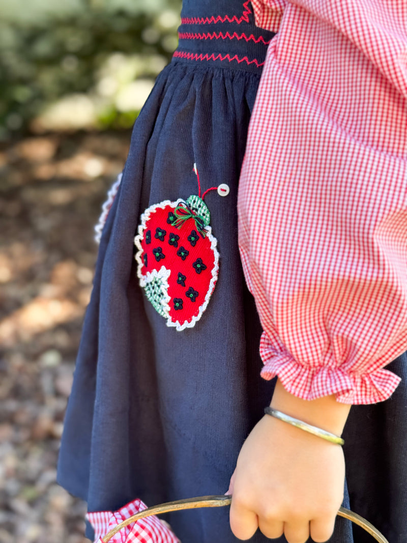 Pocket full of Ladybugs Pinafore