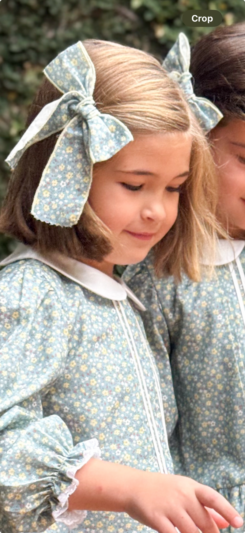 Bow- Brushed blue/yellow twill